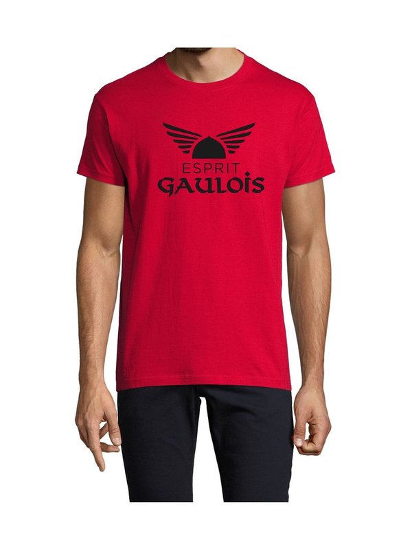T-shirt Homme logo Esprit Gaulois